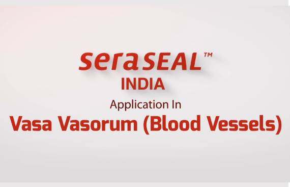 Vasorum Blood Vessel